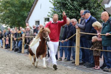 Meerkerk 1 – Ameide 1