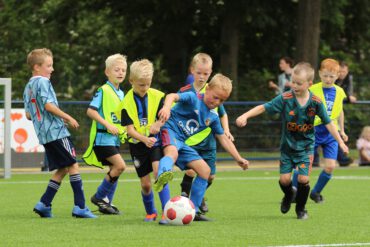 Jongste telg in de familie